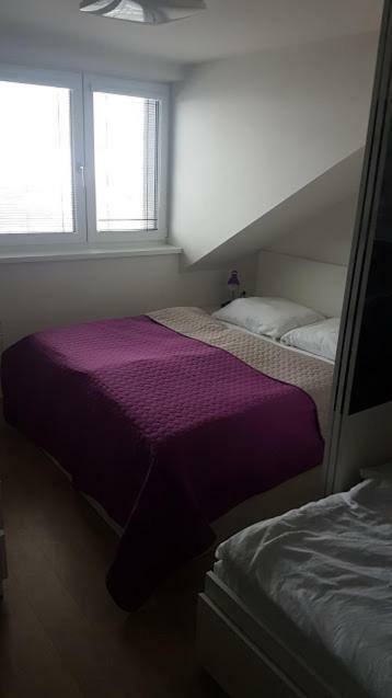 Apartmany Dolni Morava Apartment